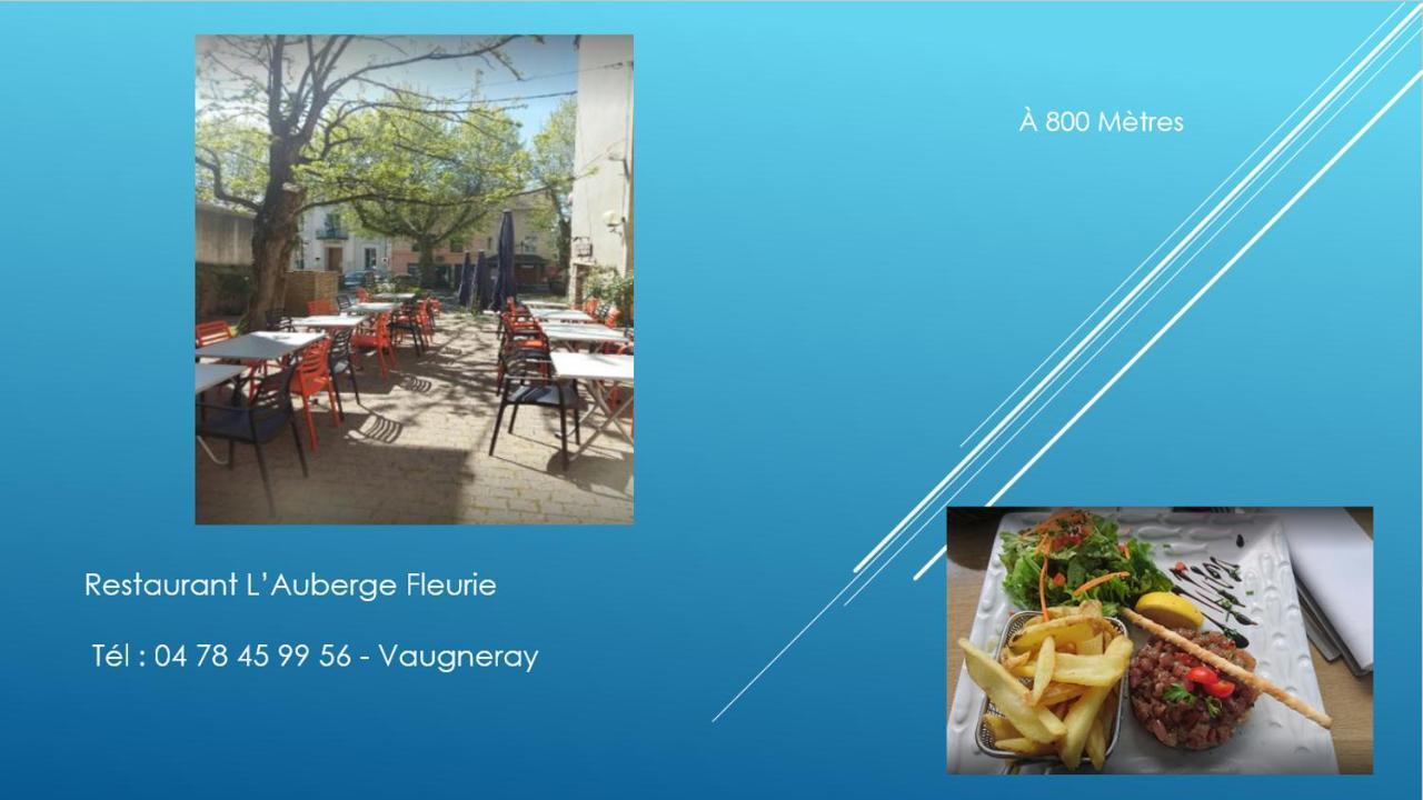 Vaugneray Bel Appartement T2 40 M² מראה חיצוני תמונה